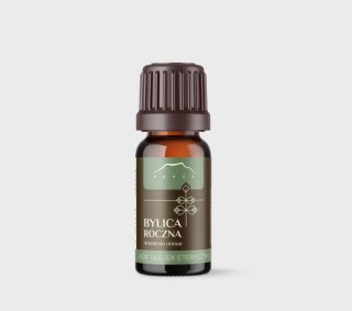 Bylica Roczna | 100% olejek eteryczny (10ml)