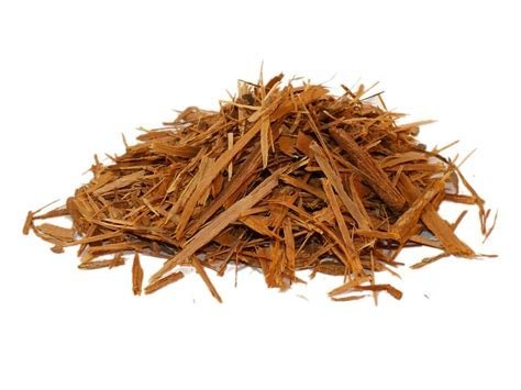 Catuaba 465 mg (100 kapsułek) 