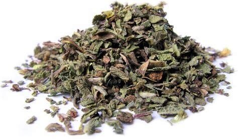 Czystek Bio (100 g)