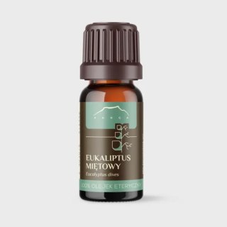 Eukaliptus Miętowy | olejek eteryczny (10ml)