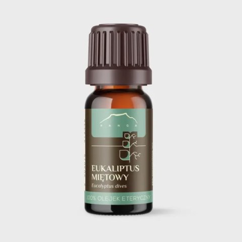 Eukaliptus Miętowy | olejek eteryczny (10ml)