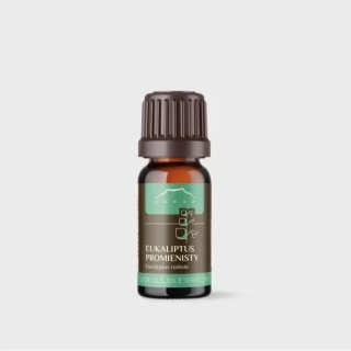Eukaliptus Promienisty - olejek eteryczny (10ml)