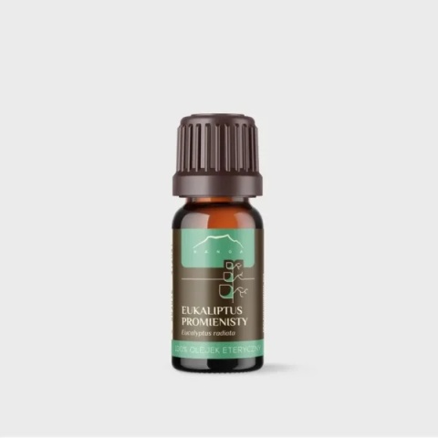 Eukaliptus Promienisty - olejek eteryczny (10ml)