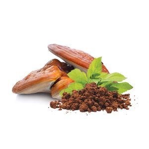 Grzyby Witalne Bio MEGA MIX | Reishi, Cordyceps, Chaga, Soplówka (100 kapsułek)