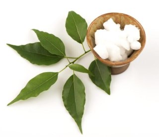 KAMFORA naturalna! | Kadzidło (25g)