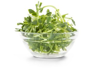 Nasiona na kiełki EKO | MIESZANKA ANDANTE (DUŻE OPAKOWANIE 400g)
