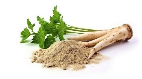 SHATAVARI BIO w proszku (100g) | MEDYCYNA ROŚLINNA DLA KOBIET