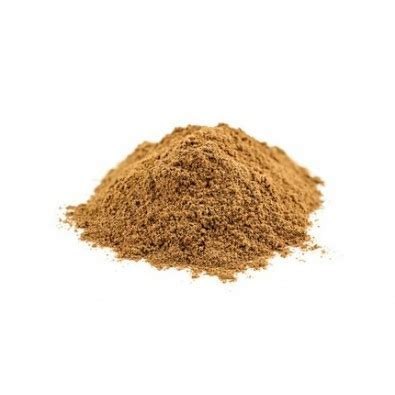 Soplówka Jeżowata | Lion's mane w proszku (100g)