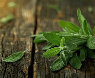 Szałwia BIO Herbatka (100g)