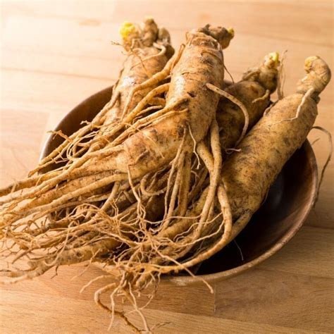 Żeń-Szeń Syberyjski Korzeń (100g)