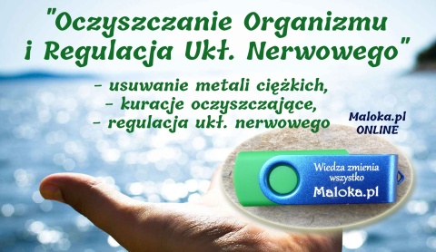 WYKŁAD "Oczyszczanie Organizmu i Regulacja Układu Nerwowego”